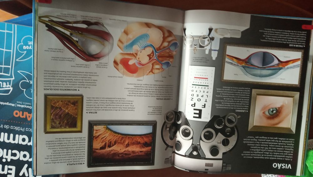 Uau corpo humano livro ilustrado