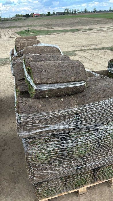 Trawa z Rolki/ PRODUCENT / Transport