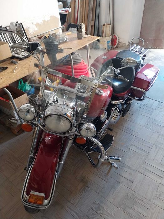 Road King vendo contrariado