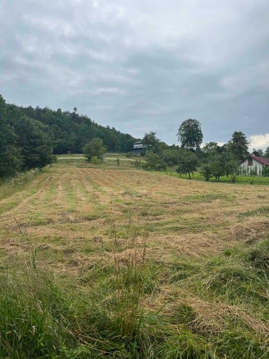 Земельна ділянка, с. Крехів