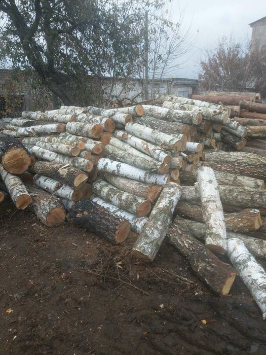 Дрова різних порід