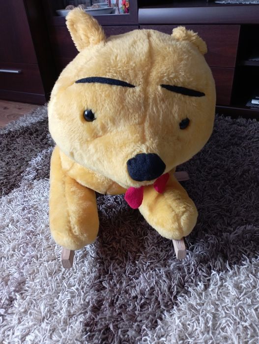 Pluszak na biegunach