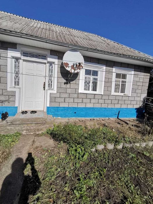 домогосподарство в с,Летатава Хмельницької області,