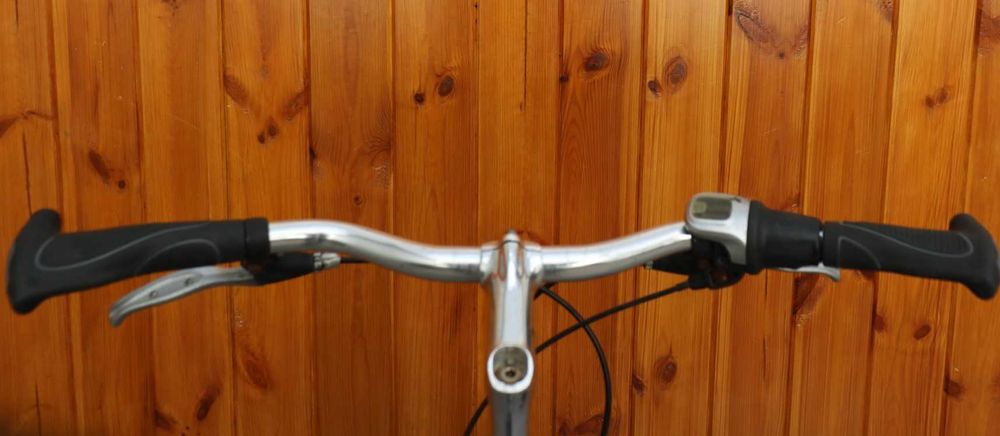 Rower damski Trek Dublin. D 53 Na pasku