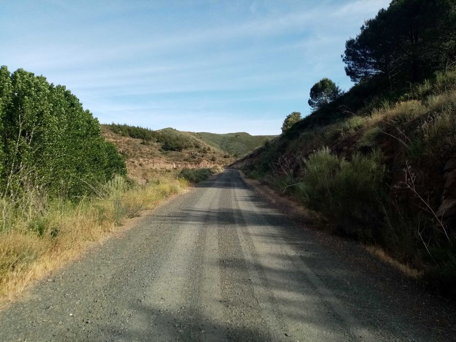 Picoto - Lagos do Sabor