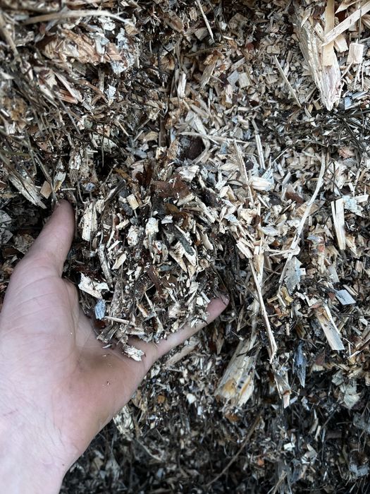 Продам щепу паливну породи сосна ціна договірна