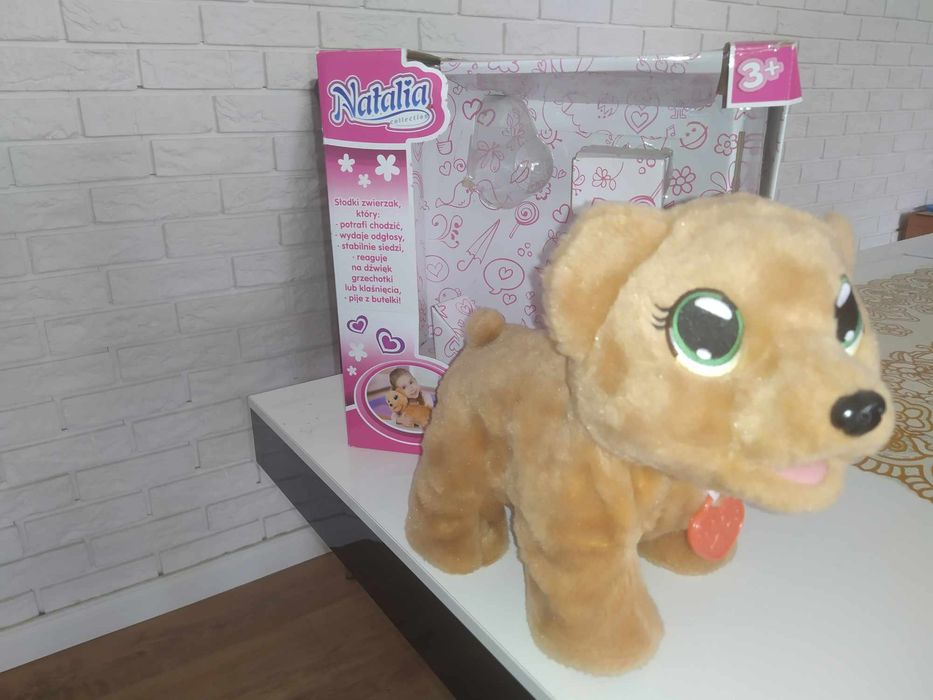 Chodzący niedźwiadek interaktywny Natalia
