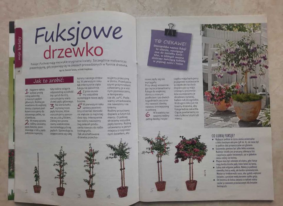 Przepis na ogród - poradniki - 4 sztuki