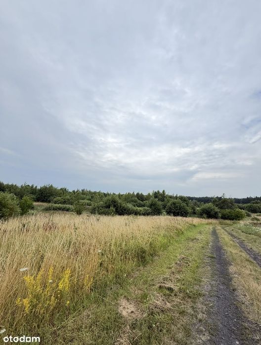 Kłodowo | dwie działki rolne 8,4 ha przy prywatnym osiedlu i jeziorze - Widok 2