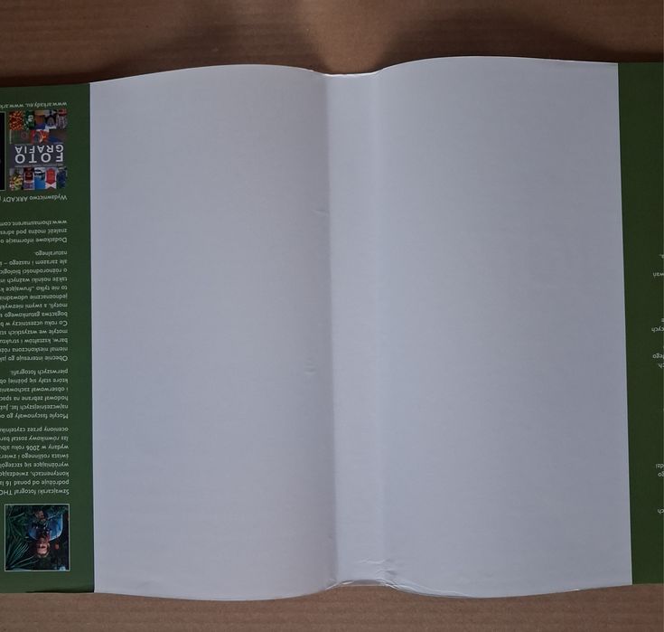 Motyle.   Thomas Marent.