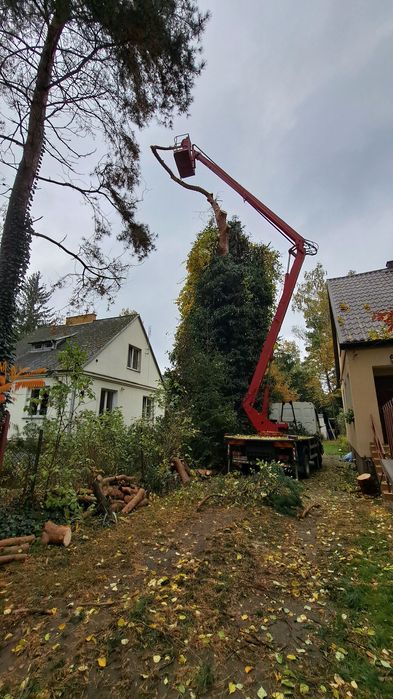 Mielenie gałęzi wycinka podnośnik koszowy