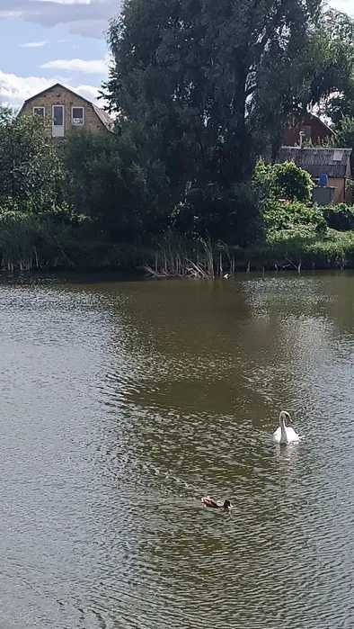 Продам будинок на березі озера в с.Калинівка. Газ,бойлер,сад