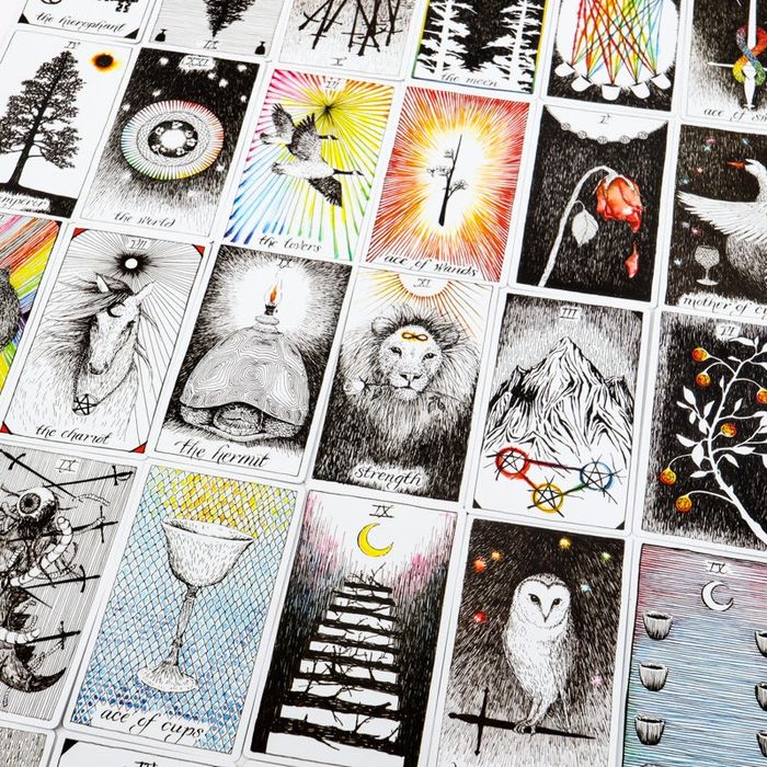 Tarot The Wild Unknown baralho + guia - Kim Krans - NOVO PORTES GRÁTIS