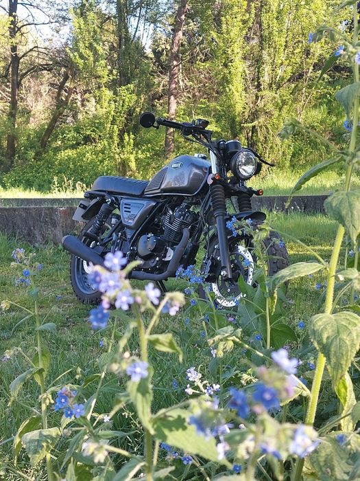 Bullit bluroc legend 125