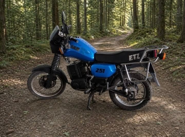 Mz