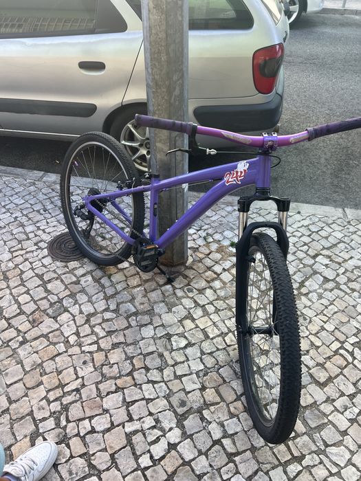 Rockerider roxa