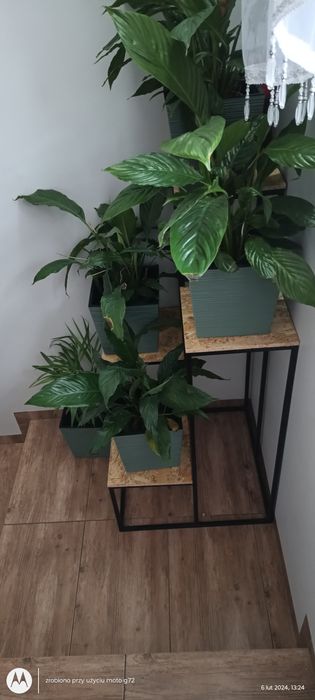 Kwietnik w stylu loft