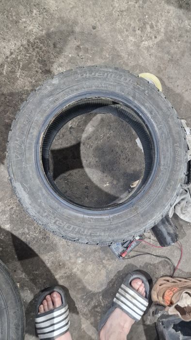 Покришки premiori зима R14 185/60  шини резина 2023рік