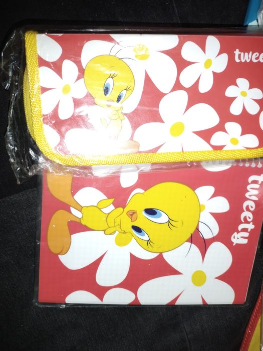 Пенал,папка,блокнот