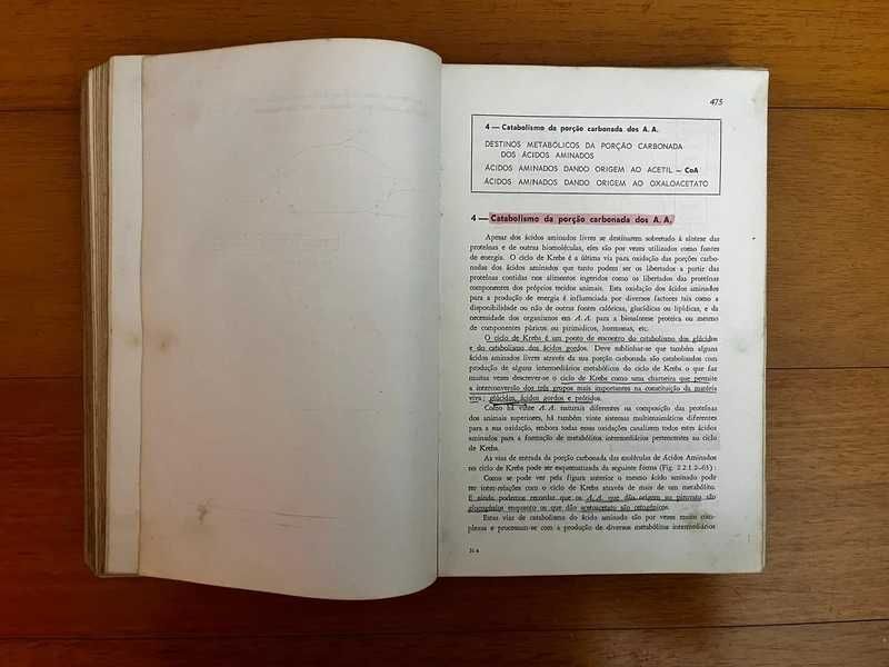 Bioquímica Animal