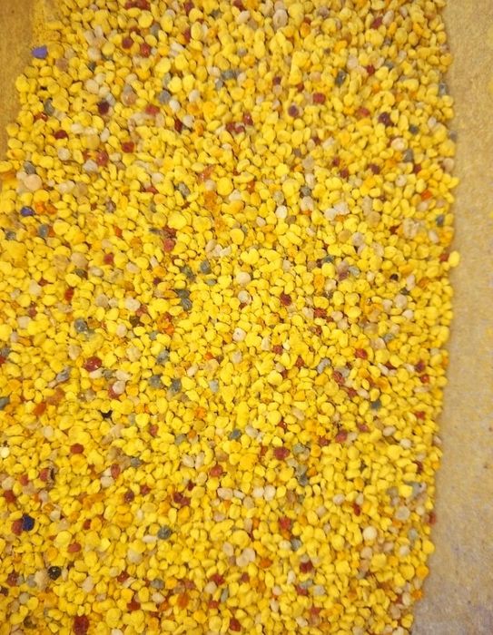 Pyłek Pszczeli Kwiatowy Czysty Wymrożony Polski