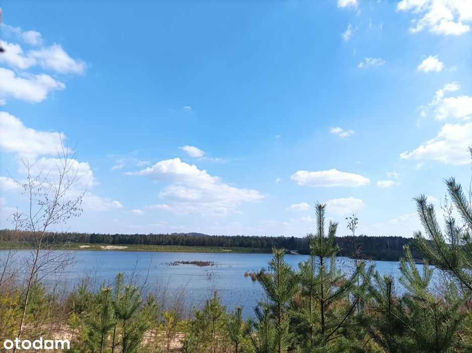 Dom pod lasem na 8 arowej działce | Spokój i natura.