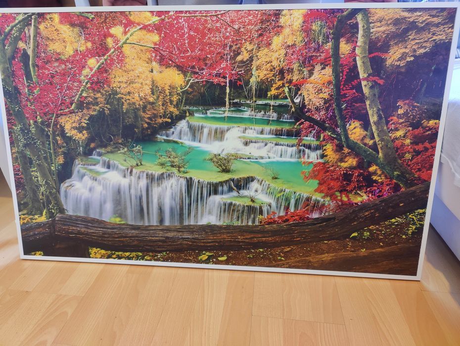 Panel grzewczy Infrarot 800W - Obraz