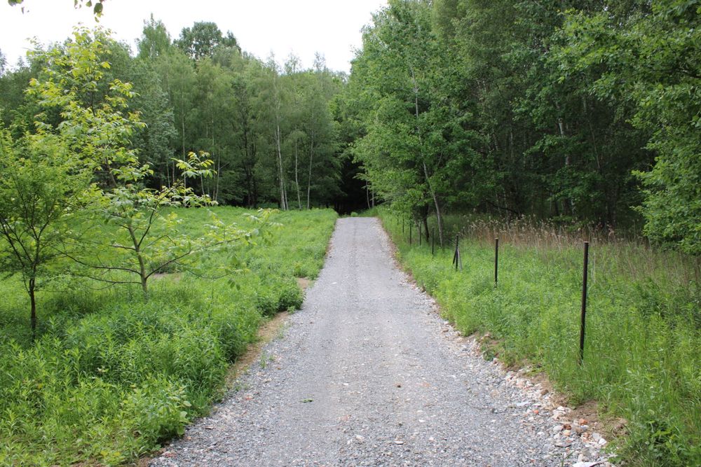 Działka budowlana 1200 m² przy lesie | Sławin | WZ | 34 m front | Bez pośredników – pohled 3