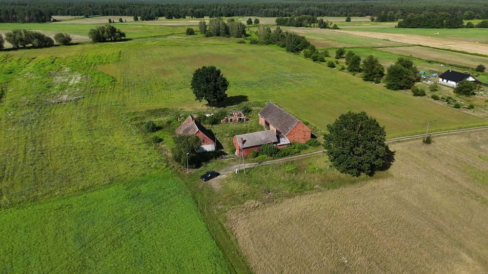 Siedlisko 5,17 ha - dom, ceglana stodoła, budynki gospodarcze. 11 zł/m2. Pawłów, gm. Sośnie