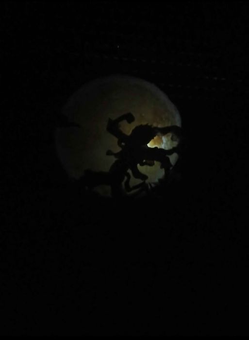 Lâmpada LED Luffy Gear 5 (One Piece Moon Lamp)