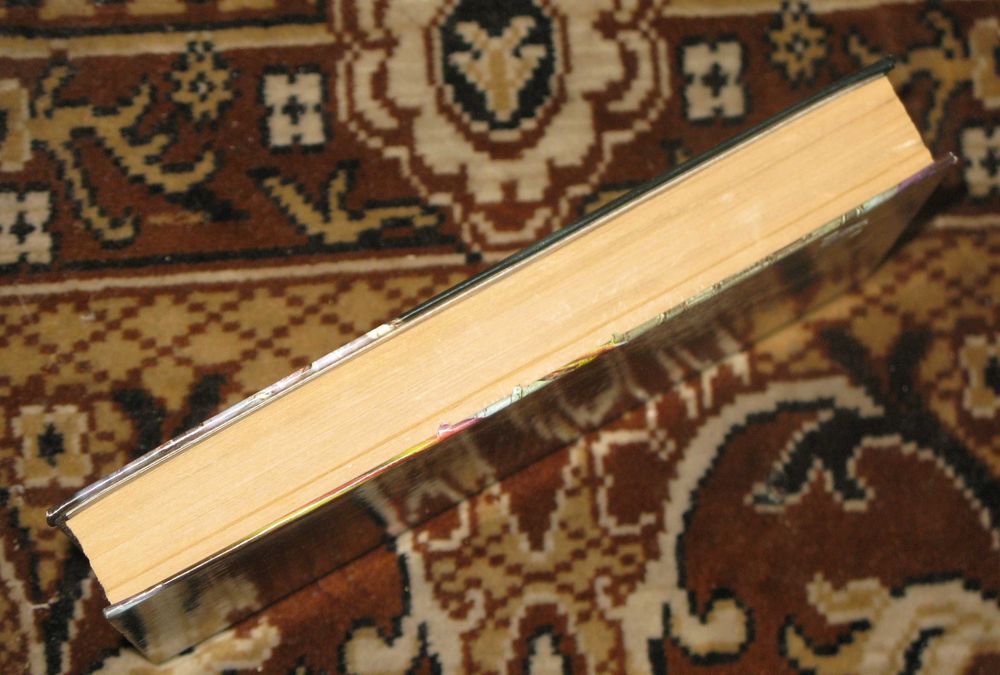 Дин Кунц. Ледяная тюрьма