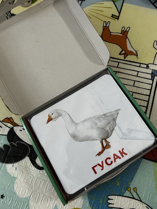 Набір карток домана «моя перша валіза» украінською