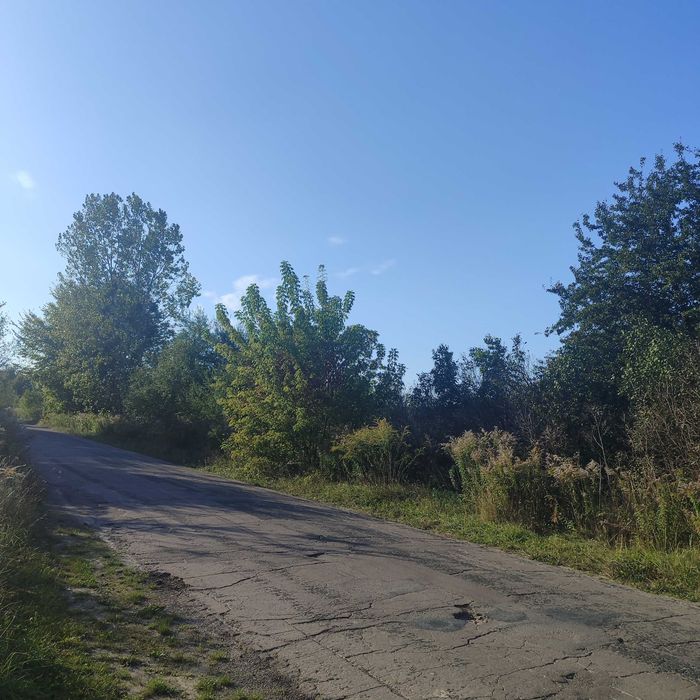 Земельна ділянка біля лісу