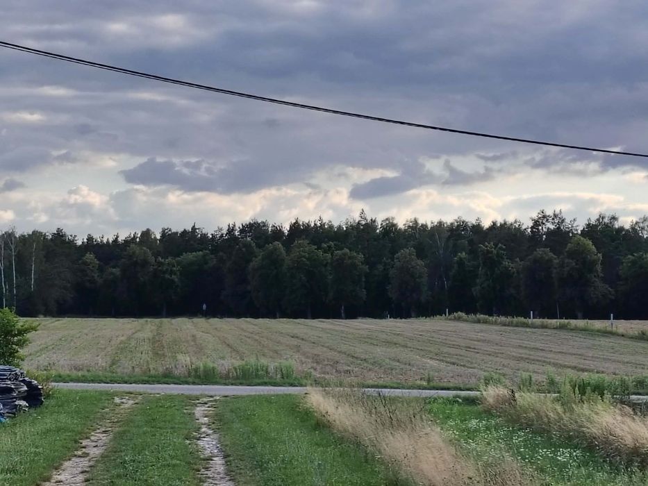 Sprzedam działkę budowlana Swory - Więcej