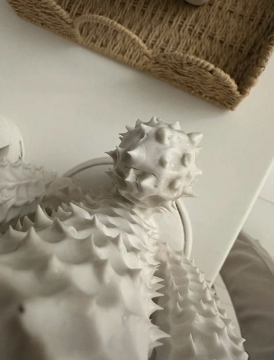 Kaktus riviera maison