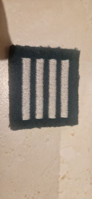 Pagon dystynkcja stopień na beret plutonowy