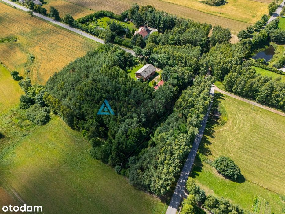 Siedlisko z potencjałem w Wysinie