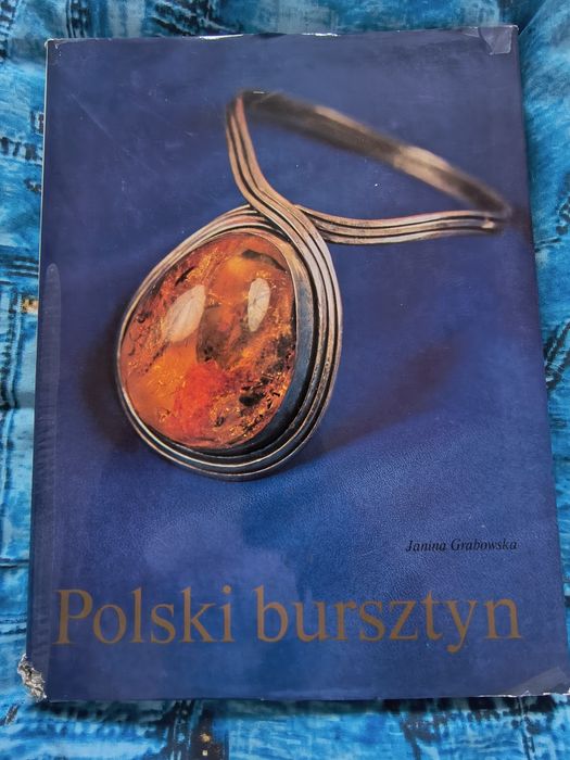 Książka Polski bursztyn