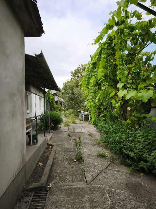 Продається жилий будинок та літня кухня в с. Ракошино Код: 57540