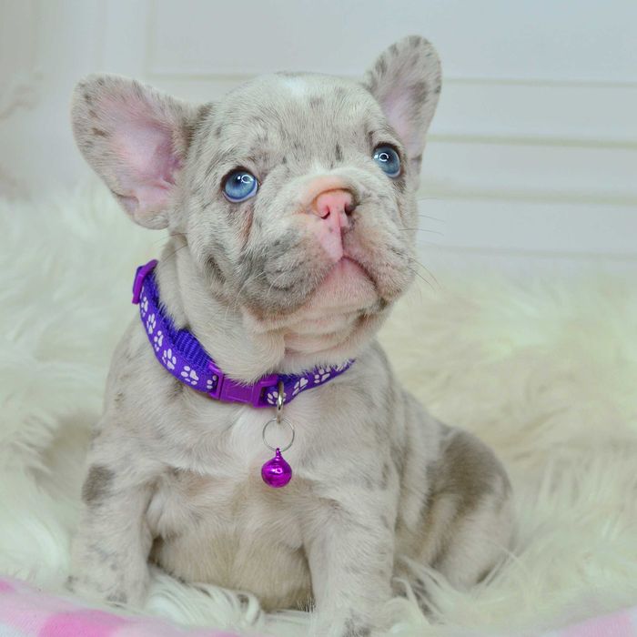 .!Прекрасні малюки у пошуках люблячих родин.!