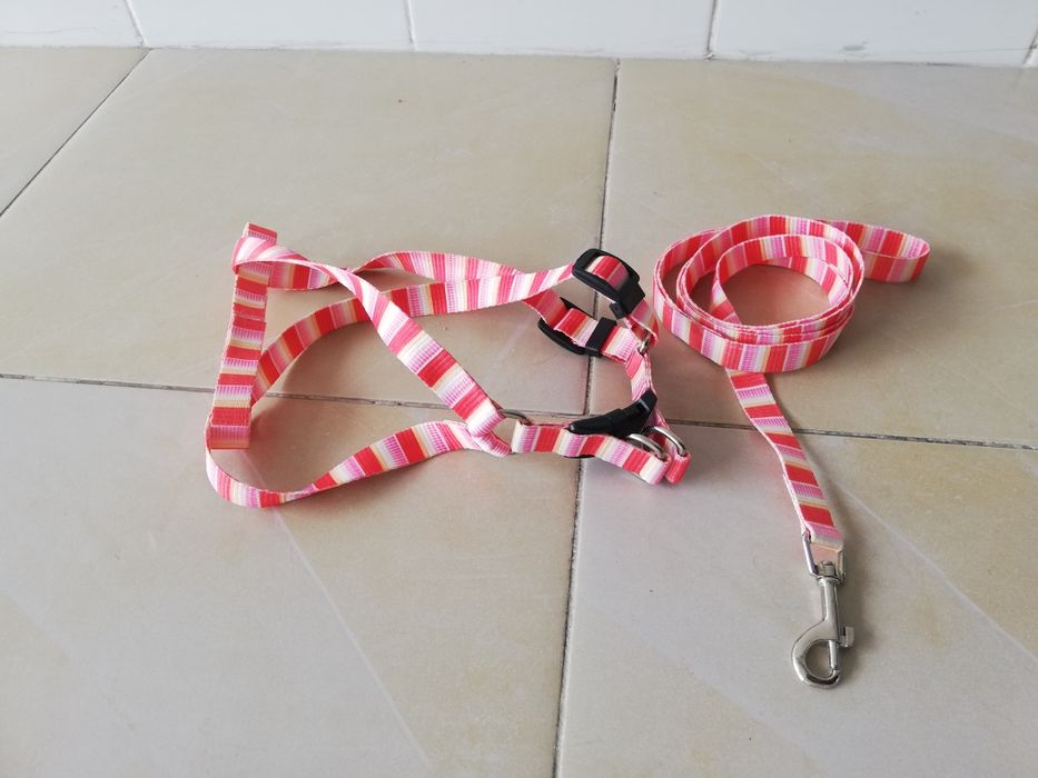 Conjunto de trela e coleira para animal