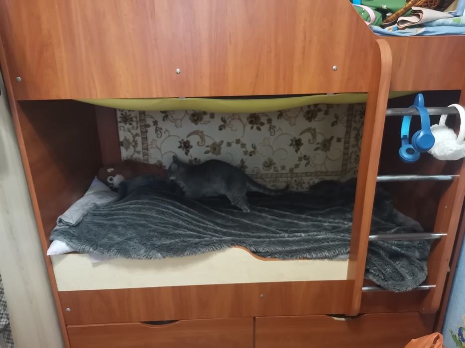 Двух ярусная кровать
