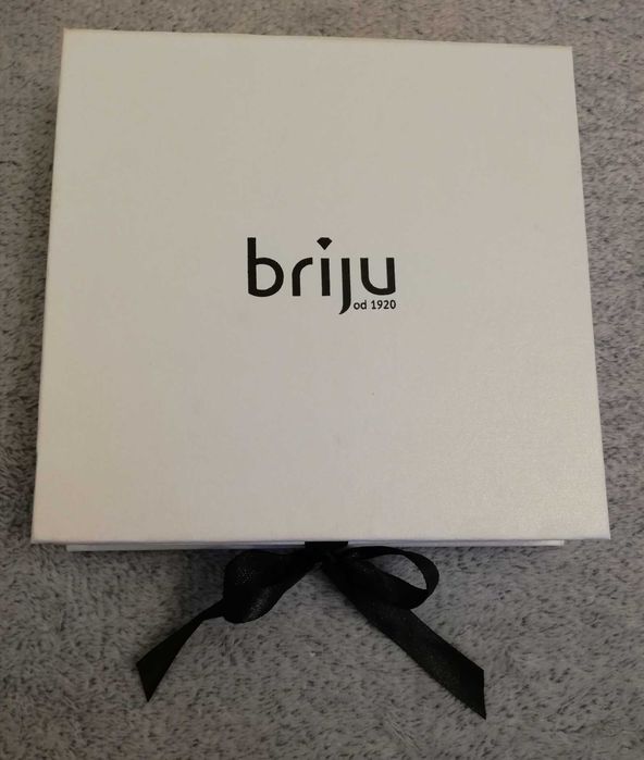Srebrny łńcuszek z zawieszką dużego motyla, Briju
