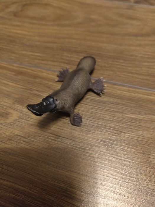 Figurka dziobak collecta