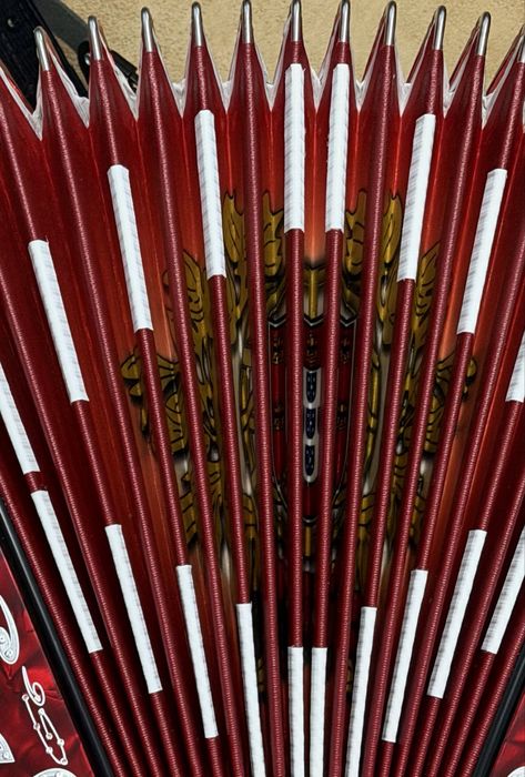 Concertina  Dino Baffetti