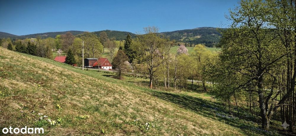 "SUDECKIE BIESZCZADY" Piękna działka w górach! Masyw Śnieżnika JODŁÓW