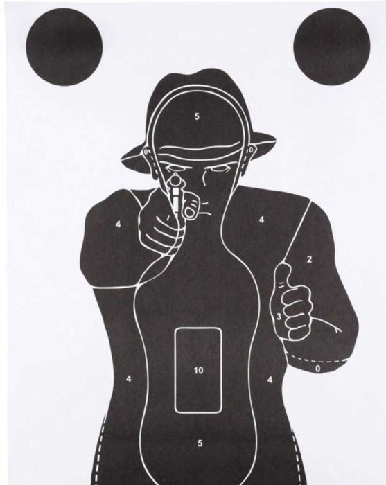 Tarcze strzeleckie TS-2, TS-9/10, NT-23 – hurt i detal