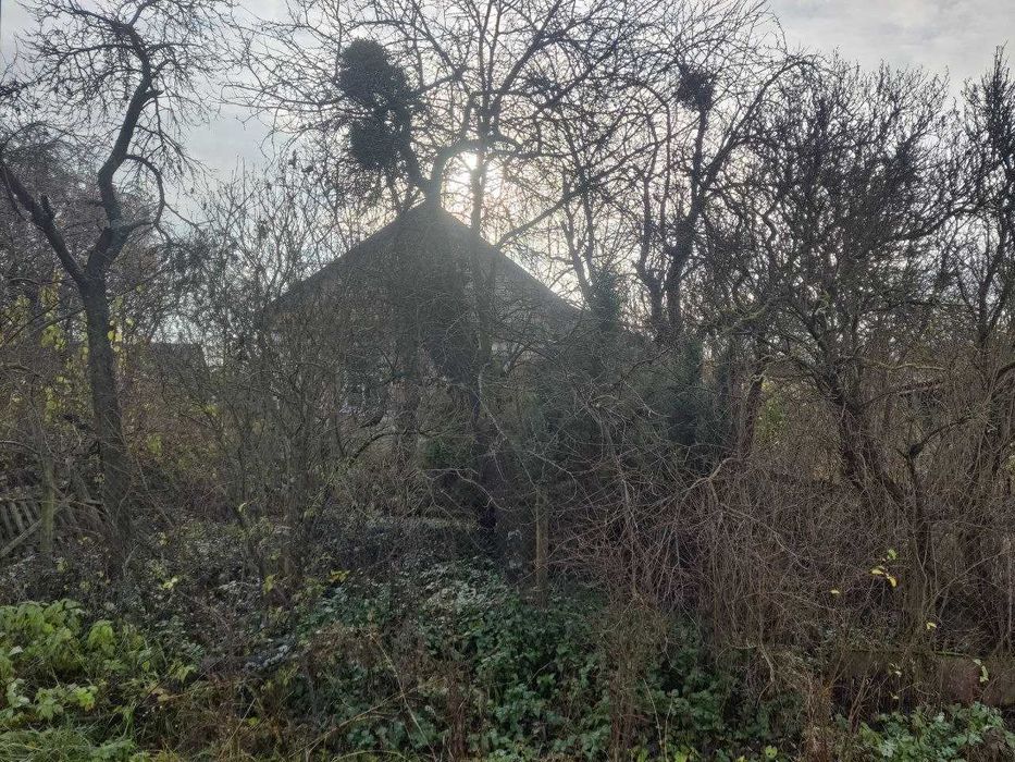 Будинок, с. Копилів, Макарівський р-н.