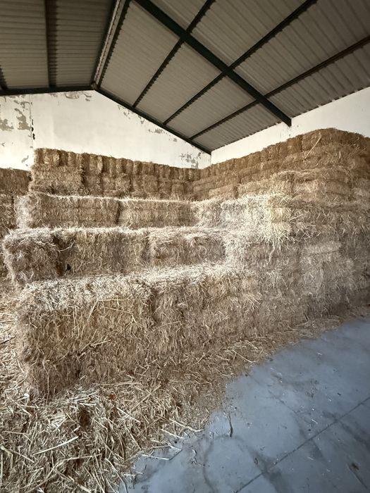 Feno Semeado Fardos Pequenos