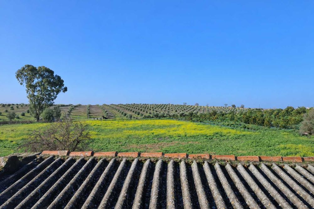 Oportunidade no Alentejo/Amareleja | Moradia 160 m² com Telhado Novo